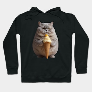 CUTE FAT CAT ICE CREAM Hoodie